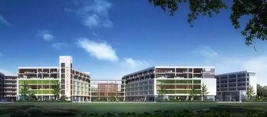 贺州学院新瓜最新爆料视频,独家爆料校园风云录  第3张