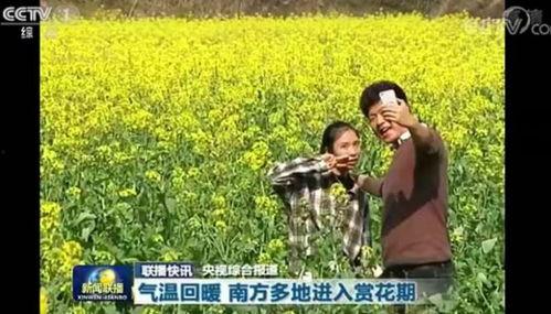 婺源小三最新爆料新闻,最新爆料揭露惊人内幕 第3张 婺源小三最新爆料新闻,最新爆料揭露惊人内幕 第3张